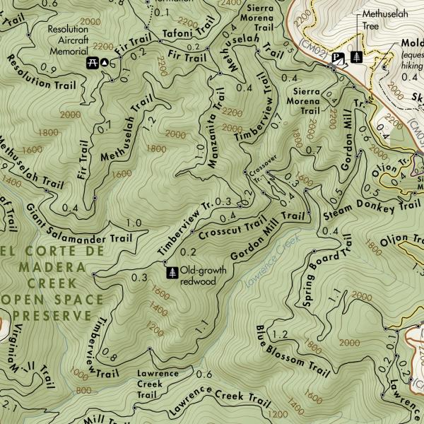 image of a map