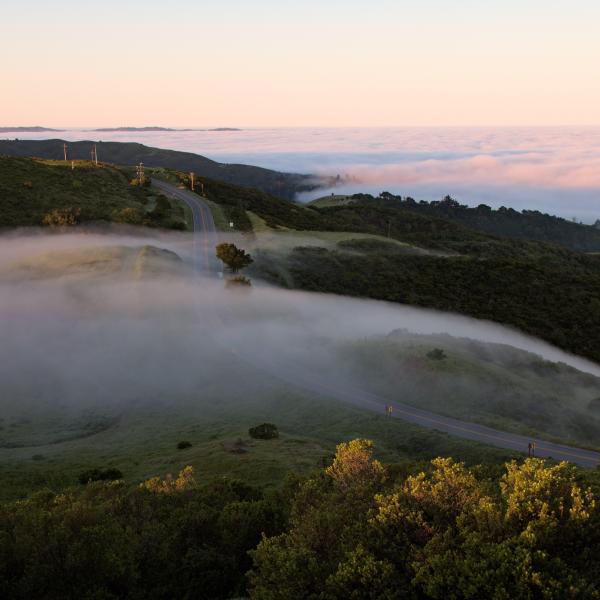 A layer of fog drifts over Windy Hill Preserve at sunset