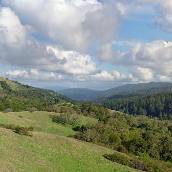 Photo: James Snyder green forested hills