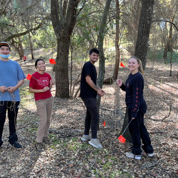SJSU students in an outdoor restoration project at Sierra Azul
