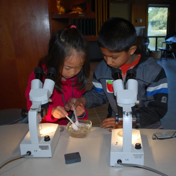 kids and microscopes