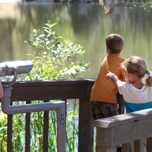 kids on a deck overlooking a pond