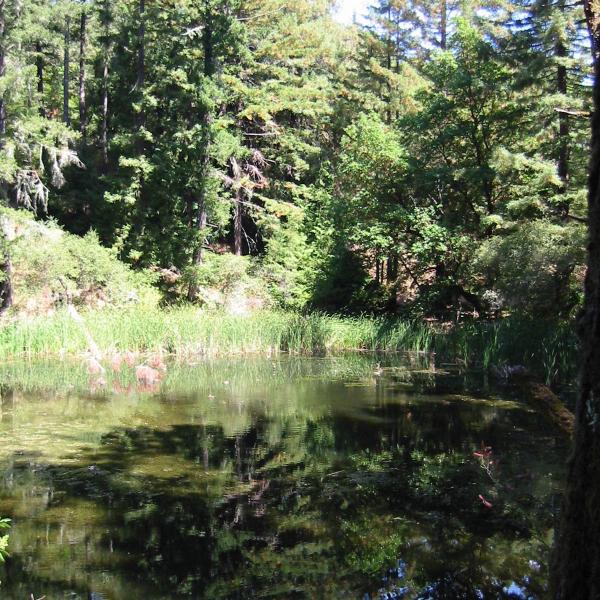 Schilling Lake at Thornewood Preserve Schilling Lake at Thornewood Preserve