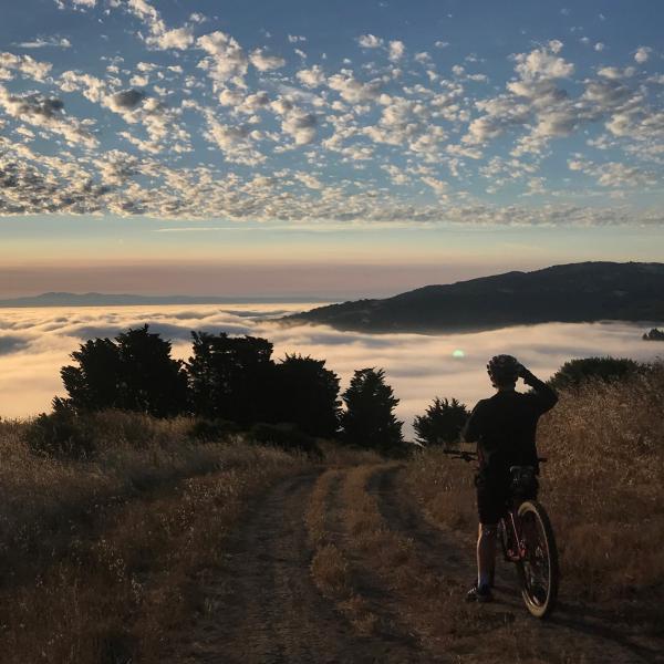 Mountain Biker on Spring Ridge Trail in Windy Hill Open Space Preserve / photo by Todd Scheuer