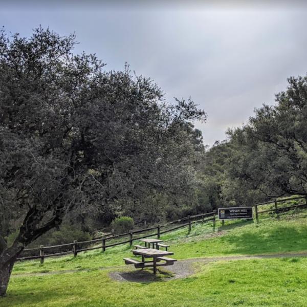 picnic tables