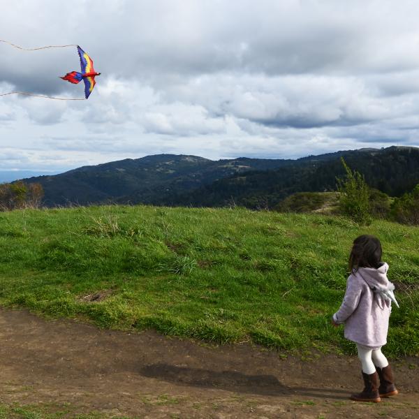 Kite Flying at Windy Hill Preserve