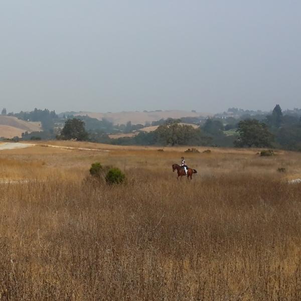 Equestrian at Russian Ridge Open Space Preserve / photo by Kathy Beyer