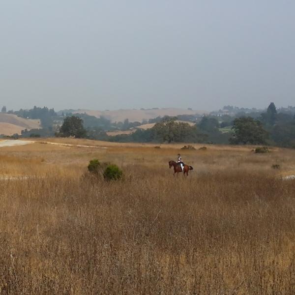 Equestrian at Russian Ridge Open Space Preserve / photo by Kathy Beyer