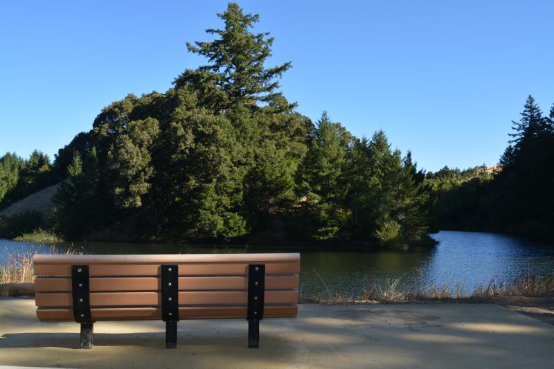 A bench sits on a paved segment of trail in front of Horseshoe lake