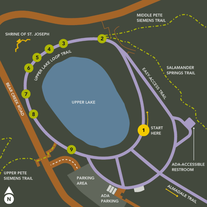 Graphic map of Upper Lake Interpretive Walk. Numbers 1 through 9 dot the trail around the loop. The number 1 is highlighted.