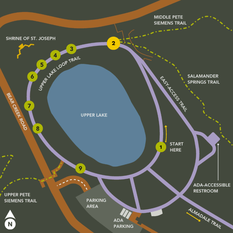 Graphic map of Upper Lake Interpretive Walk. Numbers 1 through 9 dot the trail around the loop. The number 2 is highlighted