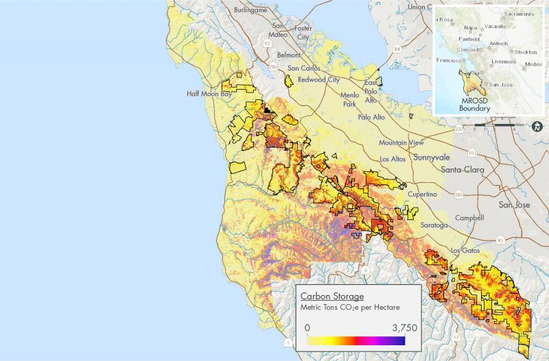 Carbon Storage Map for Midpen District