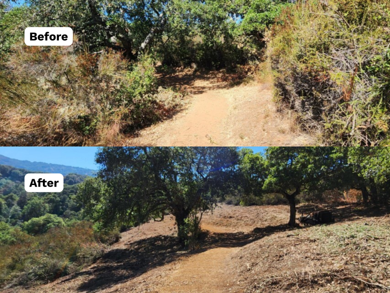 Two photos side by side showing the same segment of trail before and after vegetation clearing to create a shaded fuel break