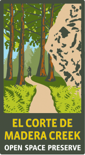 illustration of bicyclist riding on trail
