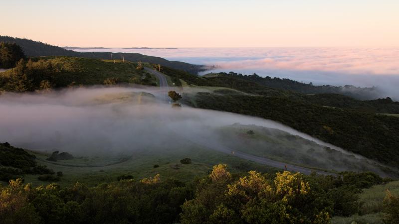 A layer of fog drifts over Windy Hill Preserve at sunset