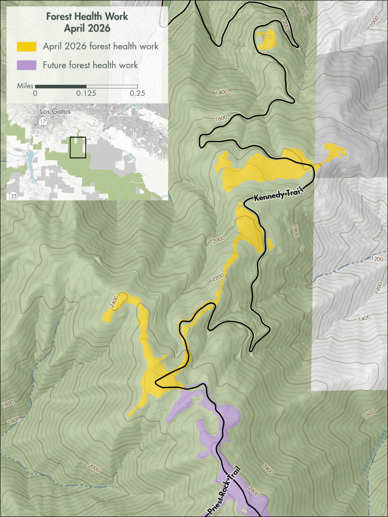 Map of Kennedy trail forest health work