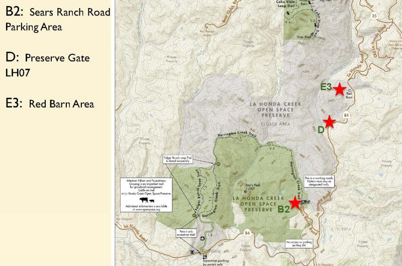 Site map