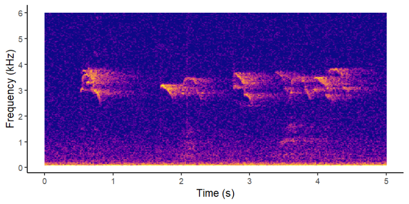 Spectrogram of a Marbled Murrelet Call. Midpen Natural Resources. Spectrogram of a Marbled Murrelet Call. Midpen Natural Resources.