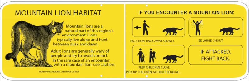 Mountain lion warning sign
