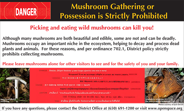 Mushroom notice