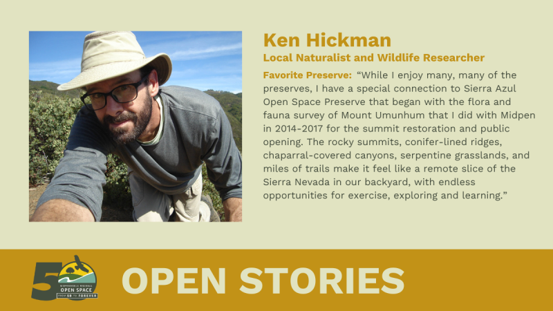 Open stories Ken Hickman