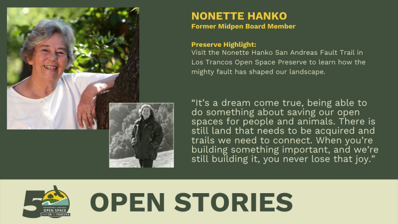 Open Stories - Nonette Hanko