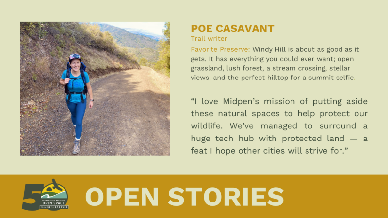 Poe Casavant Open Stories