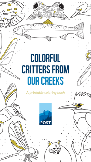 Coloring Book from POST