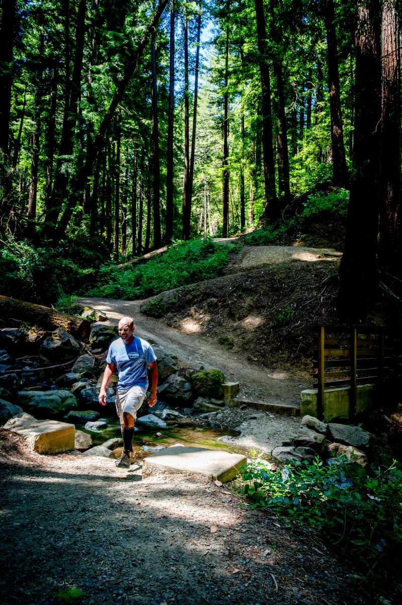 (Mallie Brathwaite) Man walks through shady redwood forest