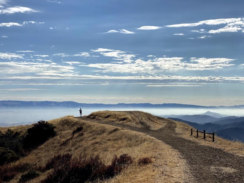 A person stands at a vista point in the distance overlooking a valley full of fog in Sierra Azul Open Space Preserve