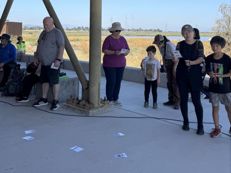 Participants in Saved By Nature's bird activity admire illustrations of Bay Area birds