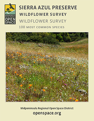 Sierra Azul Wildflower Guide Front Page Sierra Azul Wildflower Guide Front Page