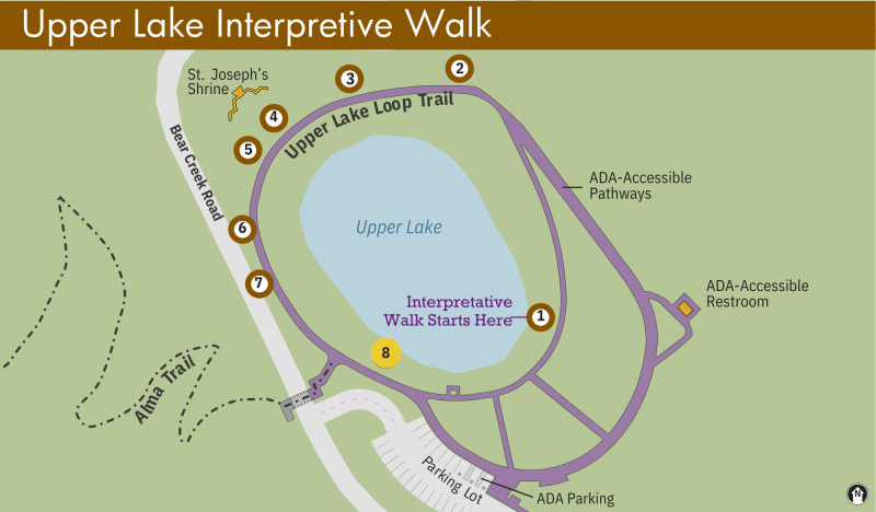 Bear Creek Redwoods Upper Lake Interpretive Walk Stop 8