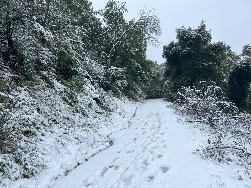 (Marissa Kent) Trail covered in snow and footprints