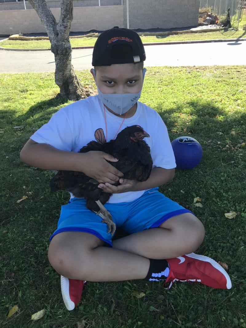 Child sitting on grass holding a chicken