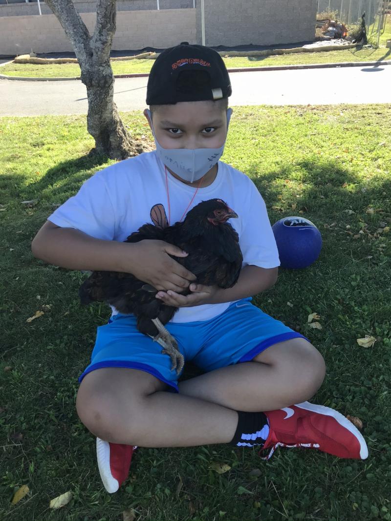 Vida Verde was a 2019 Midpen grantee Child sitting on grass holding a chicken