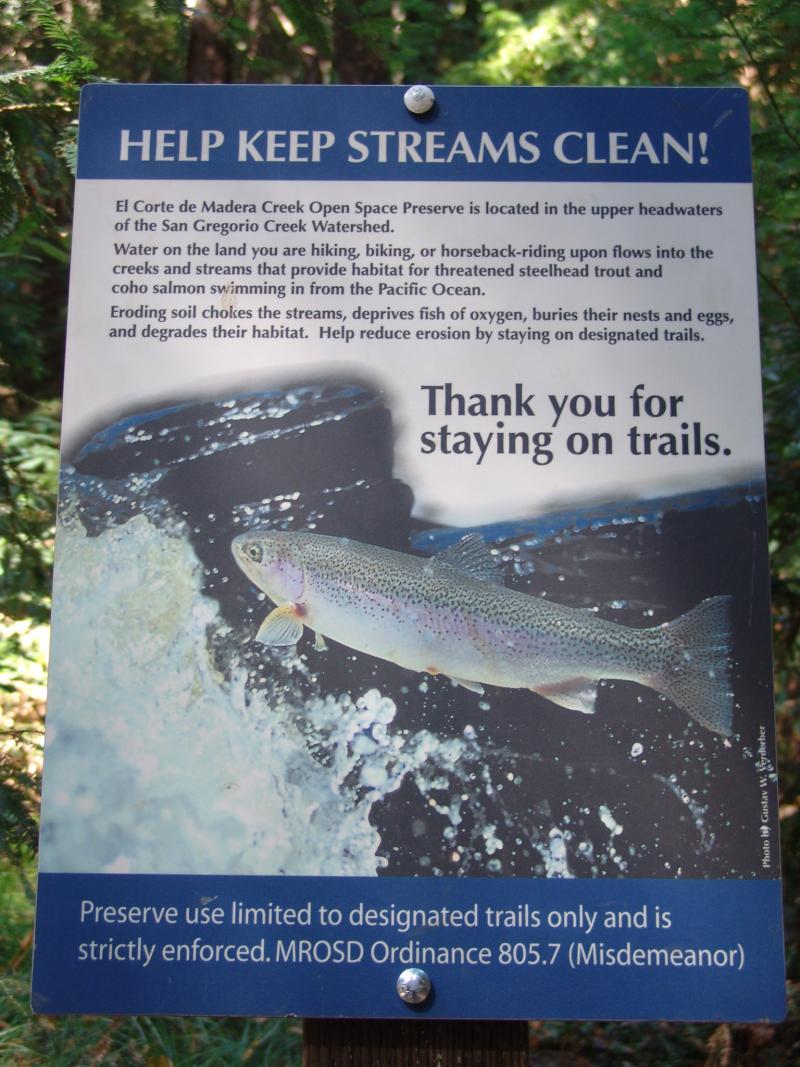 ECDM Steelhead Fish Sign